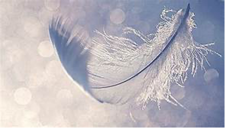 feather